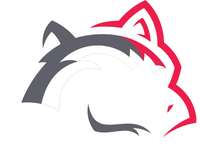 BetFury logo