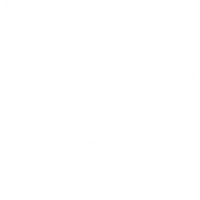 Dexsport logo
