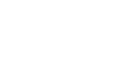 Metaspins logo